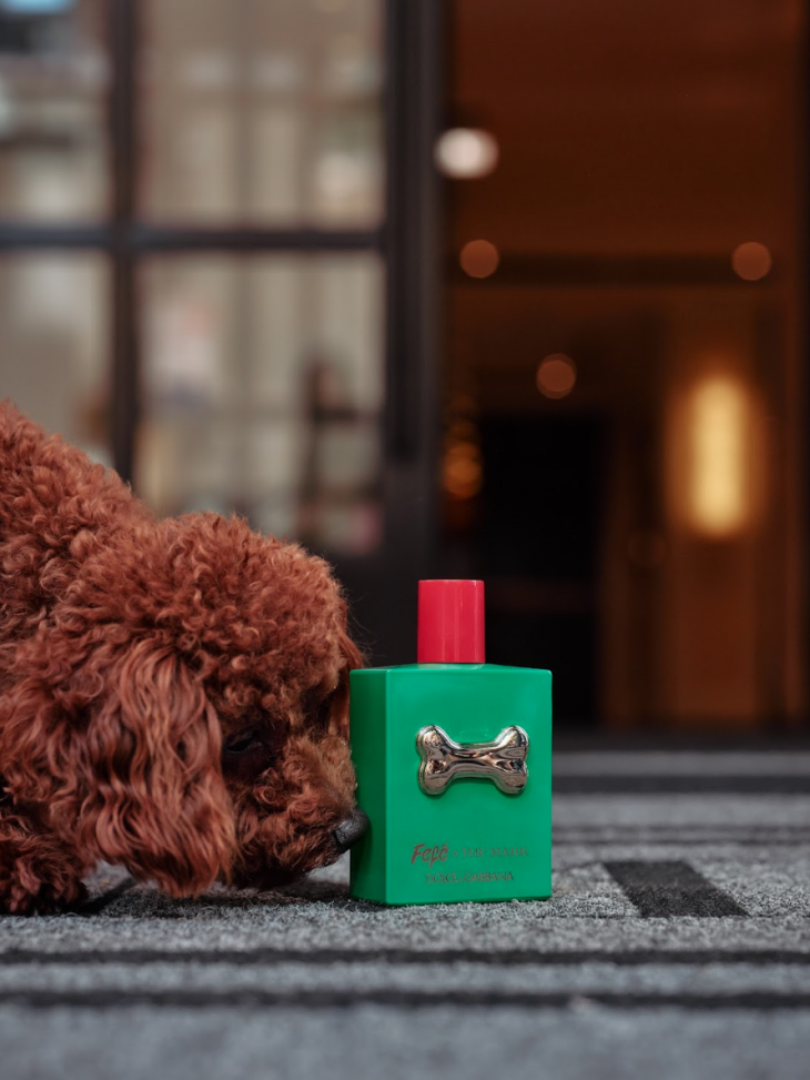 Fefé x Dolce & Gabbana